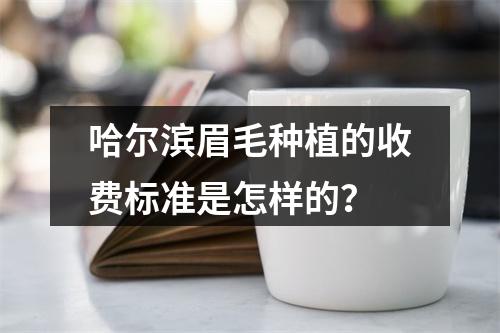 哈尔滨眉毛种植的收费标准是怎样的？