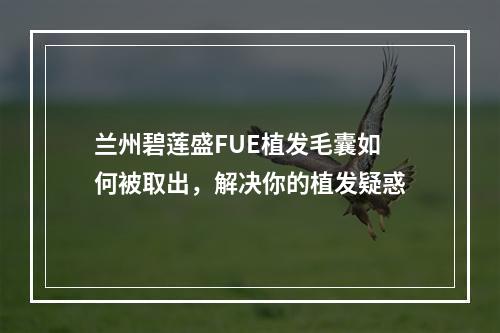 兰州碧莲盛FUE植发毛囊如何被取出，解决你的植发疑惑