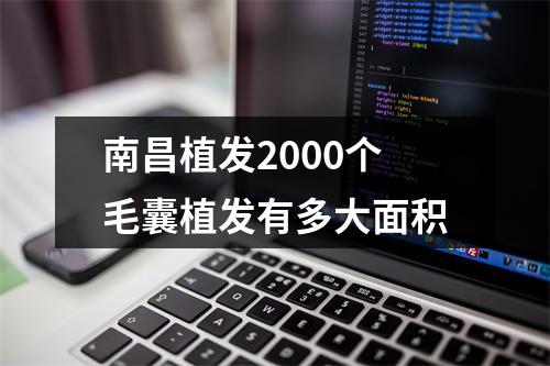 南昌植发2000个毛囊植发有多大面积