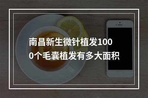 南昌新生微针植发1000个毛囊植发有多大面积