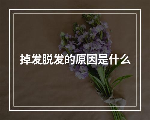 掉发脱发的原因是什么