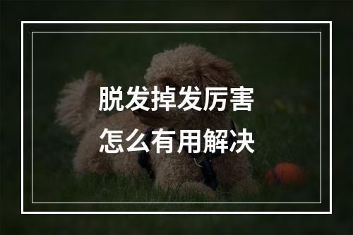 脱发掉发厉害怎么有用解决