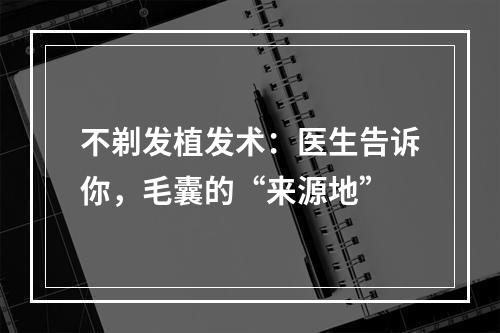 不剃发植发术：医生告诉你，毛囊的“来源地”