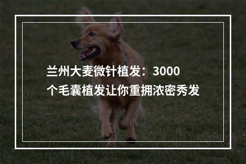 兰州大麦微针植发：3000个毛囊植发让你重拥浓密秀发