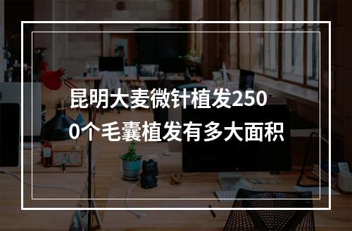 昆明大麦微针植发2500个毛囊植发有多大面积