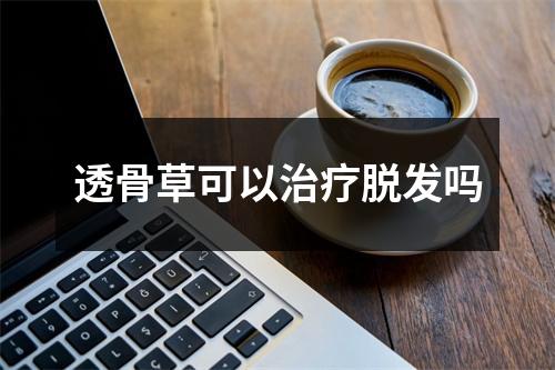 透骨草可以治疗脱发吗