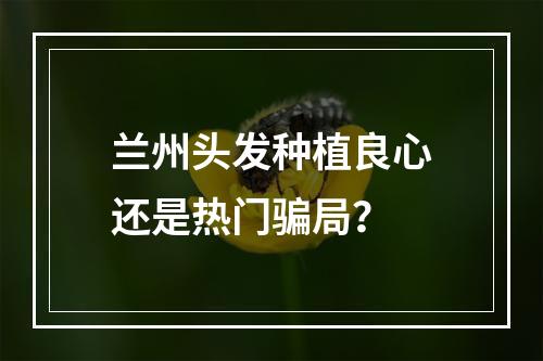 兰州头发种植良心还是热门骗局？