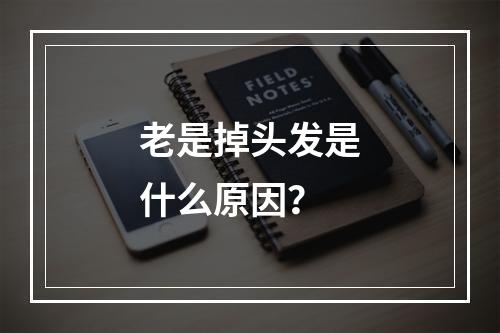 老是掉头发是什么原因？