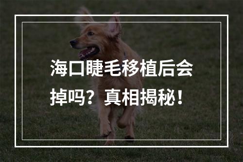 海口睫毛移植后会掉吗？真相揭秘！