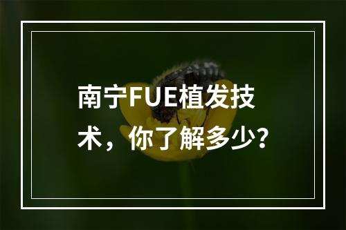 南宁FUE植发技术，你了解多少？