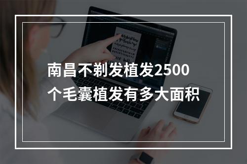 南昌不剃发植发2500个毛囊植发有多大面积