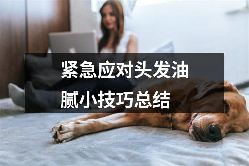 紧急应对头发油腻小技巧总结