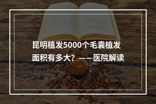 昆明植发5000个毛囊植发面积有多大？——医院解读