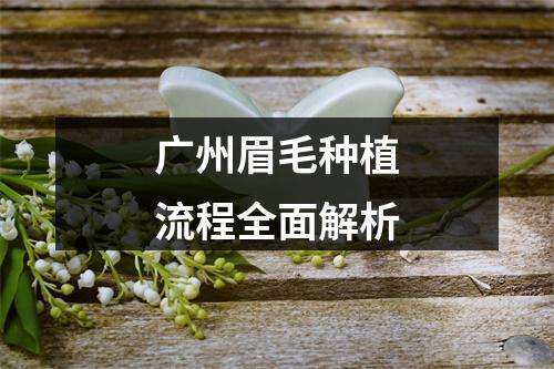 广州眉毛种植流程全面解析