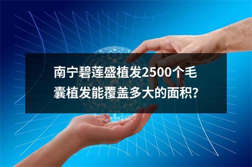 南宁碧莲盛植发2500个毛囊植发能覆盖多大的面积？