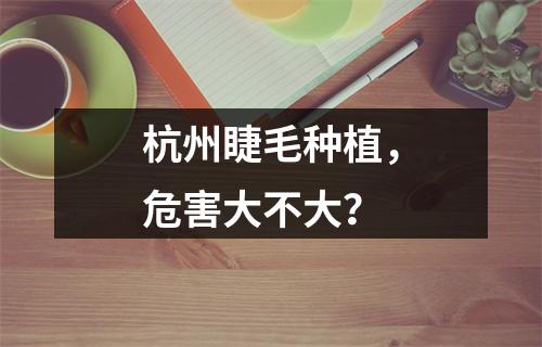 杭州睫毛种植，危害大不大？