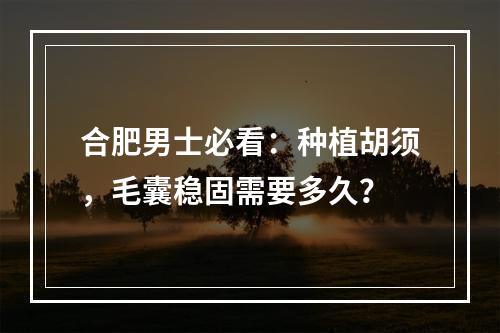 合肥男士必看：种植胡须，毛囊稳固需要多久？