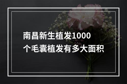 南昌新生植发1000个毛囊植发有多大面积