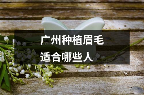 广州种植眉毛适合哪些人