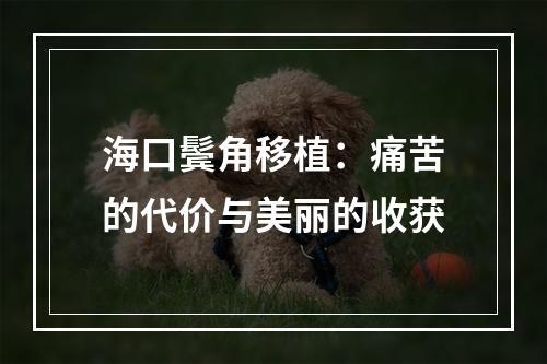 海口鬓角移植：痛苦的代价与美丽的收获