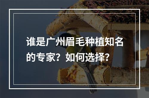 谁是广州眉毛种植知名的专家？如何选择？