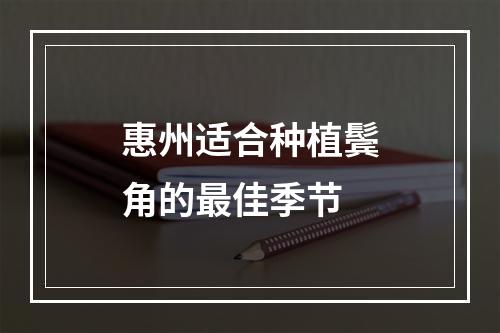 惠州适合种植鬓角的最佳季节