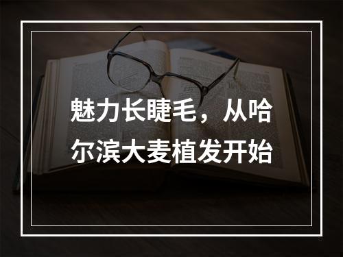 魅力长睫毛，从哈尔滨大麦植发开始