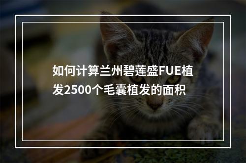 如何计算兰州碧莲盛FUE植发2500个毛囊植发的面积