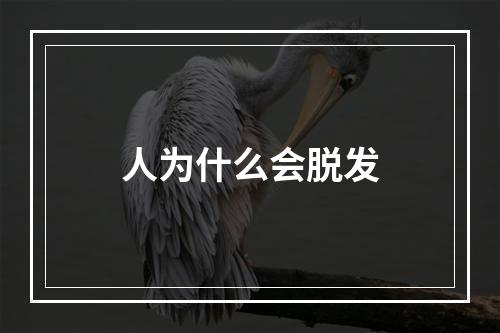 人为什么会脱发