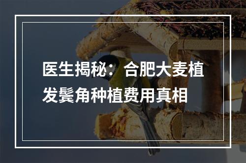 医生揭秘：合肥大麦植发鬓角种植费用真相