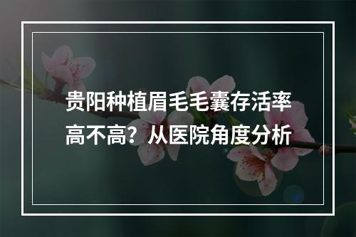 贵阳种植眉毛毛囊存活率高不高？从医院角度分析