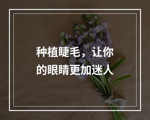 种植睫毛，让你的眼睛更加迷人