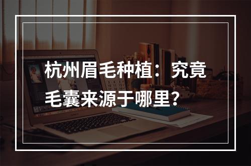 杭州眉毛种植：究竟毛囊来源于哪里？