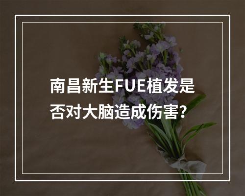 南昌新生FUE植发是否对大脑造成伤害？