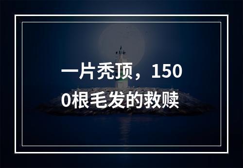 一片秃顶，1500根毛发的救赎