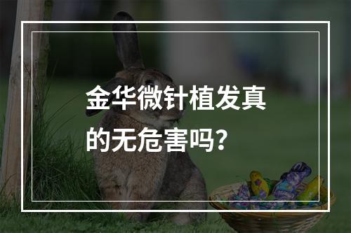 金华微针植发真的无危害吗？