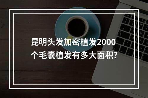 昆明头发加密植发2000个毛囊植发有多大面积？