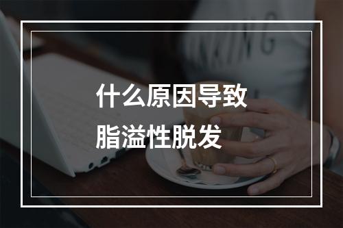 什么原因导致脂溢性脱发