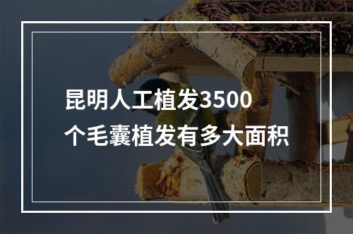 昆明人工植发3500个毛囊植发有多大面积