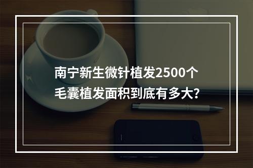 南宁新生微针植发2500个毛囊植发面积到底有多大？