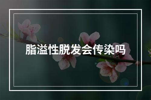 脂溢性脱发会传染吗