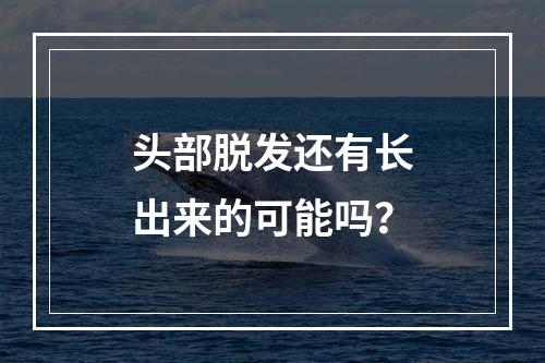 头部脱发还有长出来的可能吗？