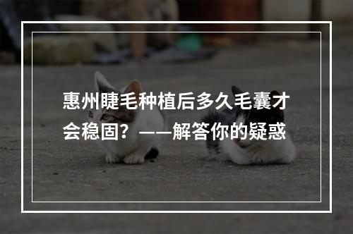 惠州睫毛种植后多久毛囊才会稳固？——解答你的疑惑