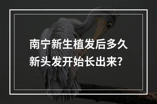 南宁新生植发后多久新头发开始长出来？