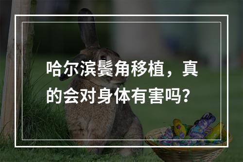 哈尔滨鬓角移植，真的会对身体有害吗？