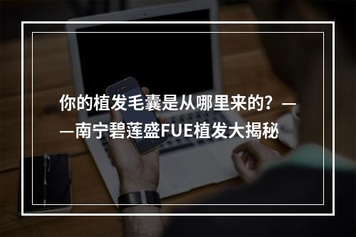 你的植发毛囊是从哪里来的？——南宁碧莲盛FUE植发大揭秘