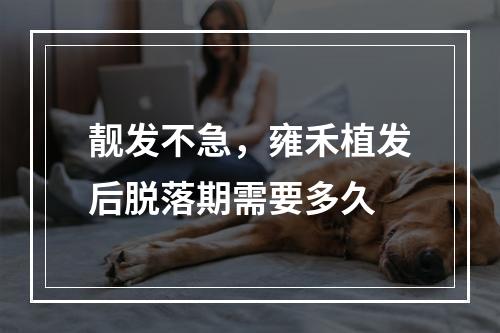 靓发不急，雍禾植发后脱落期需要多久