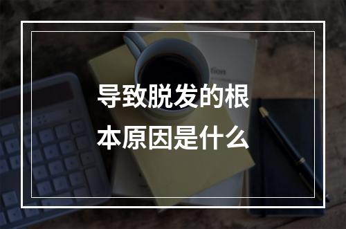 导致脱发的根本原因是什么