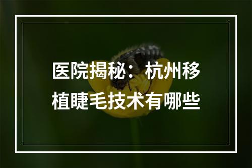 医院揭秘：杭州移植睫毛技术有哪些