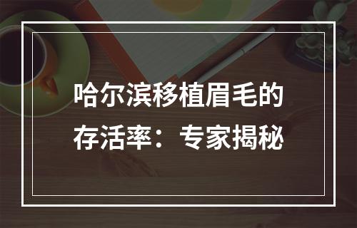 哈尔滨移植眉毛的存活率：专家揭秘